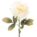 Floristik24 Fiore di dalia artificiale per vaso, 68 cm