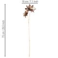 Fiore di dalia artificiale, a stelo lungo con due fiori, 75 cm | Floristik24.it