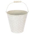 Floristik24 Secchiello decorativo, sbiancato, con manico, Ø20,5 cm, vaso decorativo in metallo