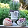 Floristik24 Fragola decorativa, vaso per piante, decorazione in cemento per piantare L17cm