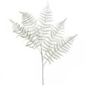 Floristik24 Deco felce pianta artificiale foglia di felce felce artificiale bianca L78cm