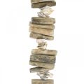 Floristik24 Conchiglie di ghirlande decorative e legni da acquario 90 cm