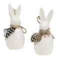 Floristik24 Coniglio decorativo con piuma bianca 9 cm 6 pezzi