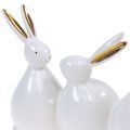 Floristik24 Conigli decorativi bianco, oro 24 cm x 14,5 cm x 8,5 cm