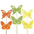 Floristik24 Farfalla decorativa in legno colorato assortito. 8 cm 18 pezzi
