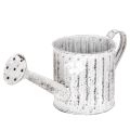 Floristik24 Annaffiatoio decorativo, fioriera, annaffiatoio per piante Ø10,5 cm