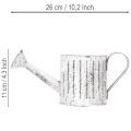 Annaffiatoio decorativo, fioriera, annaffiatoio per piante Ø10,5 cm | Floristik24.it