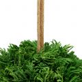 Floristik24 Sfera per piante artificiali da appendere verde Ø20cm