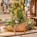 Floristik24 Carota decorativa, decorazione in cemento per piantare, Pasqua, vaso per piante di carote, decorazione primaverile L28cm