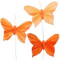 Floristik24 Deco farfalla arancione 12pz