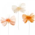 Floristik24 Farfalle nei toni dell&#39;arancione, decoro primaverile Farfalle di piume su filo 6pz