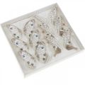 Floristik24 Farfalle decorative bianche, farfalle di piume marroni su filo 7,5 cm 6 pezzi
