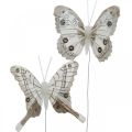 Floristik24 Farfalle decorative bianche, farfalle di piume marroni su filo 7,5 cm 6 pezzi