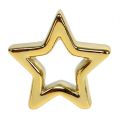 Floristik24 Deco Star Gold 6,5cm 6 pezzi