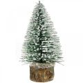 Floristik24 Decorazione natalizia, abete decorativo, mini abete verde innevato H15cm Ø9,5cm 6 pezzi