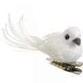 Floristik24 Coppia di colombe decorative Uccelli decorativi con clip bianco L5cm 4 pezzi