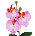 Floristik24 Orchidea decò in vaso rosa H29cm