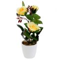 Floristik24 Rosa decorativa in vaso giallo 23cm