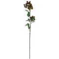 Floristik24 Ramo decorativo gelso, ramo di bacche, ramo di gelso verde 78 cm
