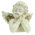 Floristik24 Crema orante decorativa angelo 9 cm 8 pezzi