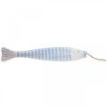 Floristik24 Pesce decorativo in legno pesce in legno da appendere azzurro H57,5 cm