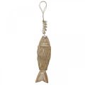 Pesce decorativo, pesce di legno Deco, pendente di pesce in legno 21cm