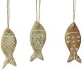 Floristik24 Pesce decorativo da appendere pesce in legno marrone bianco assortiti 10 cm 4 pezzi