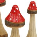 Floristik24 Funghi decorativi in legno rosso, naturale 13,5 cm - 19 cm 3 pezzi