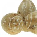 Floristik24 Uova di legno, uova decorative, uova di Pasqua in legno di mango 8×5cm 6pz