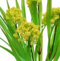 Floristik24 Deco erba con fiori giallo, verde H32ccm