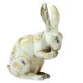 Floristik24 Conigli decorativi seduti in piedi oro bianco H12,5x16,5 cm 2 pezzi