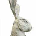 Floristik24 Coniglio decorativo seduto effetto pietra decorazione da giardino H30cm 2 pezzi