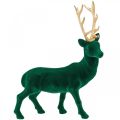 Floristik24 Deco cervo in piedi in oro verde Decorazione natalizia figura 40 cm