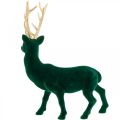 Floristik24 Deco cervo in piedi in oro verde Decorazione natalizia figura 40 cm