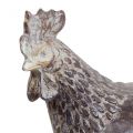 Deco polli figura decorativa figura da giardino pollo vintage H17cm 2 pezzi