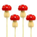 Floristik24 Spina fungo fungo decorativo rosso 3,5 cm L30 cm 12 pezzi