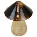 Fungo decorativo in legno effetto lucido marrone naturale Ø7,5 cm H10 cm