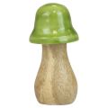 Floristik24 Funghi decorativi in legno funghi in legno verde chiaro lucido H6/8/10 cm set da 3