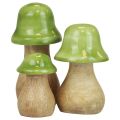 Floristik24 Funghi decorativi in legno funghi in legno verde chiaro lucido H6/8/10 cm set da 3