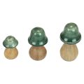 Floristik24 Funghi decorativi Funghi in legno verde scuro lucido H6/8/10 cm set da 3