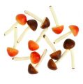 Floristik24 Funghi decorativi marroni, arancioni 9 cm 12 pezzi