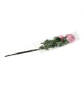 Floristik24 Deco rose riempito rosa antico Ø10cm L65cm 3 pezzi