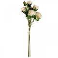 Floristik24 Deco Roses Crema Rose Artificiali Fiori di Seta 50cm 3pz