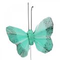 Floristik24 Farfalla decorativa su filo verde, blu 5-6cm 24p