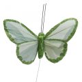 Floristik24 Farfalle decorative farfalle di piume verdi su filo 10cm 12pz