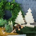 Floristik24 Albero di Natale decorativo legno, abete natalizio bianco lavato 27 × 17 × 5 cm