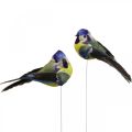 Floristik24 Deco Birds on Wire Spring Deco Cinciarella 10×3cm 9pz
