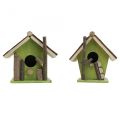 Floristik24 Casetta per uccelli decorativa in legno nido decorativo verde naturale H14,5cm set di 2