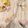 Nastro regalo con motivi vegetali, nastro decorativo con aneto, largo 40 mm, lungo 20 m. | Floristik24.it