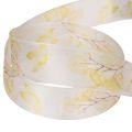 Nastro decorativo con motivo a ramo frondoso, in organza, largo 25 mm, lungo 20 m. | Floristik24.it